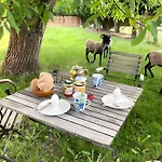 Country house - Schlamau19