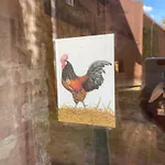 Country house - Schlamau19