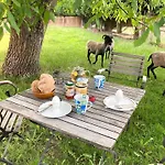 - Schlamau19 Country house Schlamau