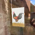 - Schlamau19 * Schlamau