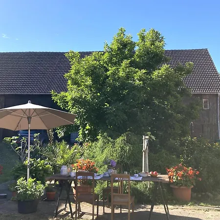 - Schlamau19 * Schlamau