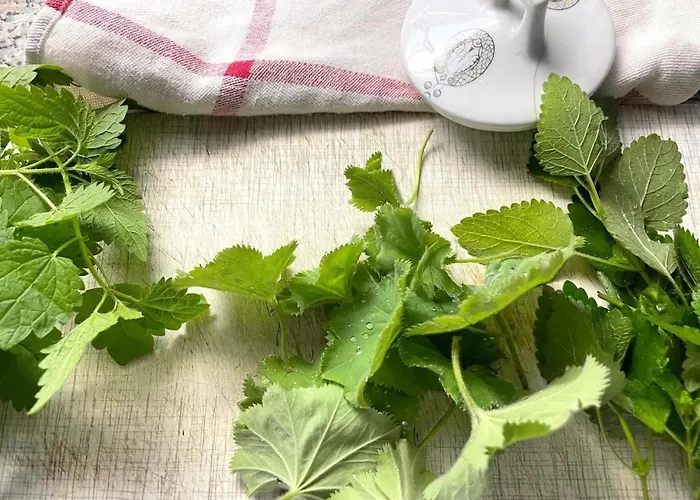 - Schlamau19 * Schlamau