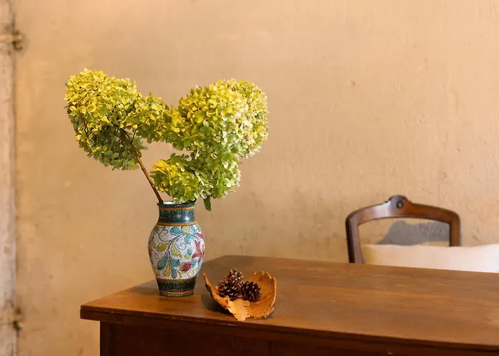 - Schlamau19 * Schlamau