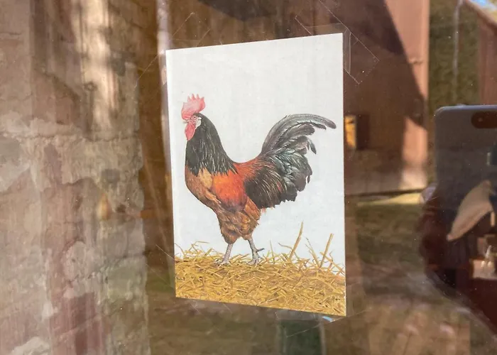 منزل ريفي - Schlamau19